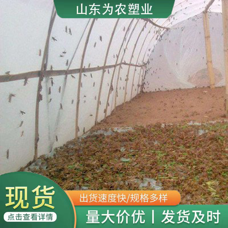 螞蚱養殖網展示效果